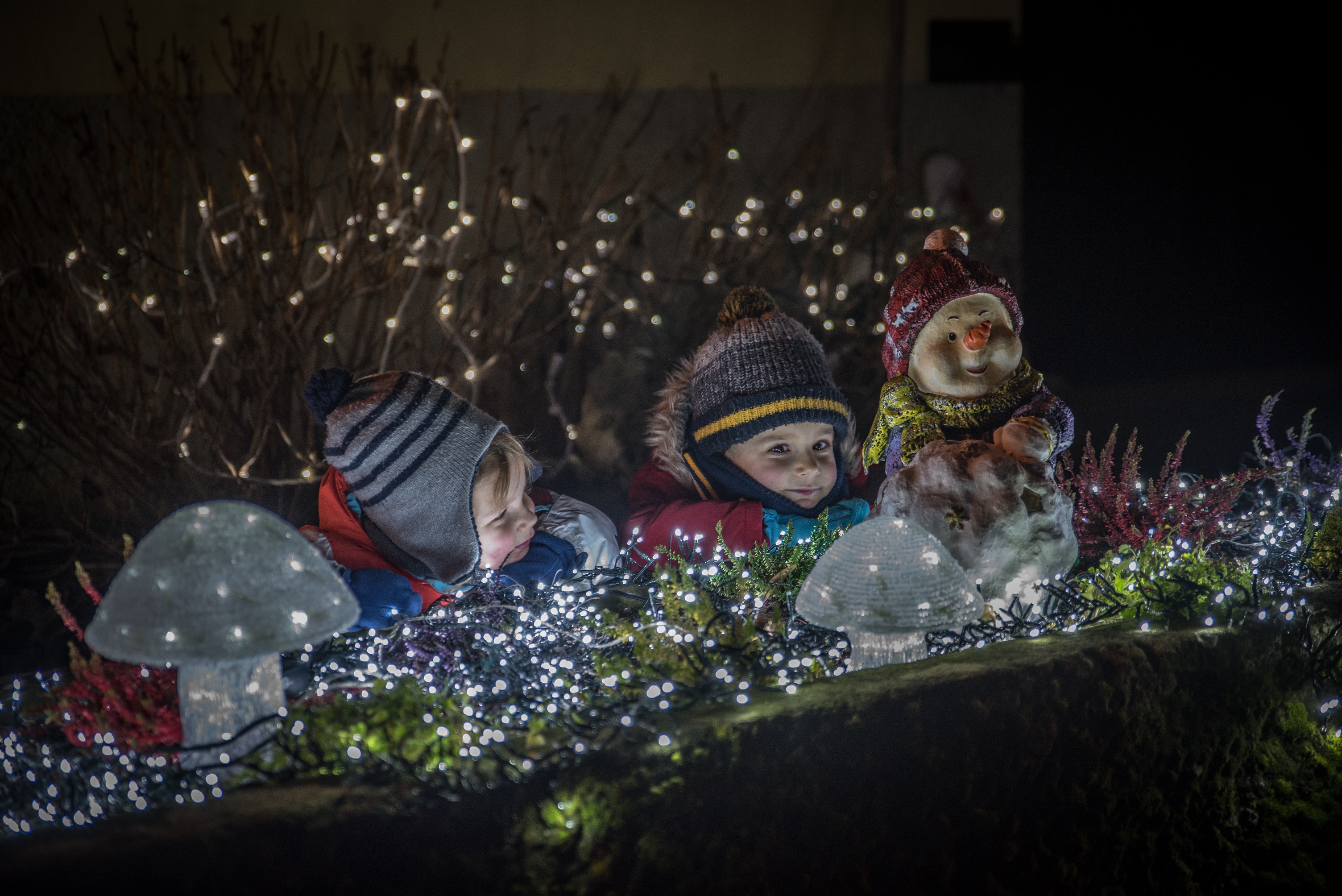 © Vincent Schneider